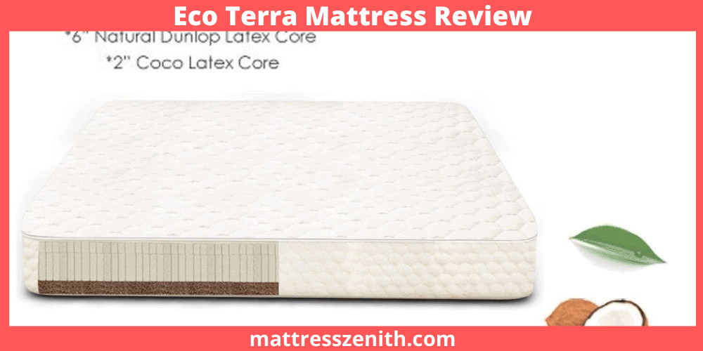 Eco-Terra-Mattress-Review