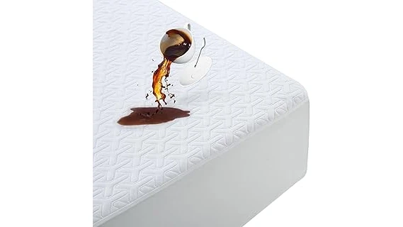 Best 31 Mattress Protector