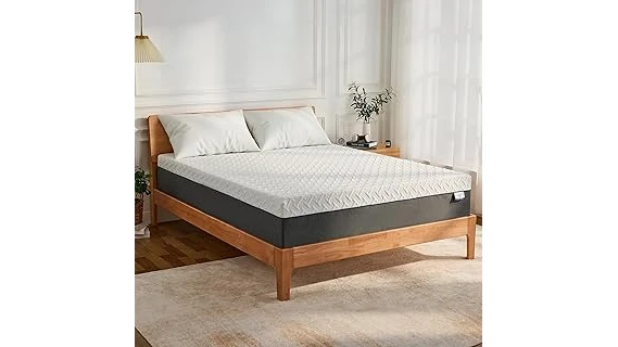 Best 31 Mattress for Back Pain in Usa