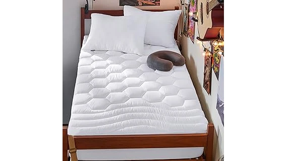 Best 31 Mattress for College Students