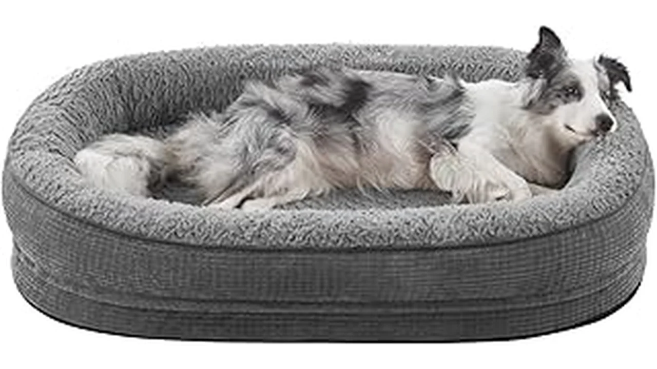 Best 31 Dog Mattress Loaf Review