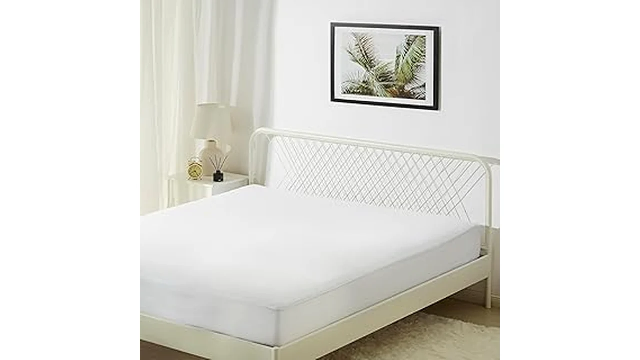 Best 31 Mattress Cover for Bed Bugs
