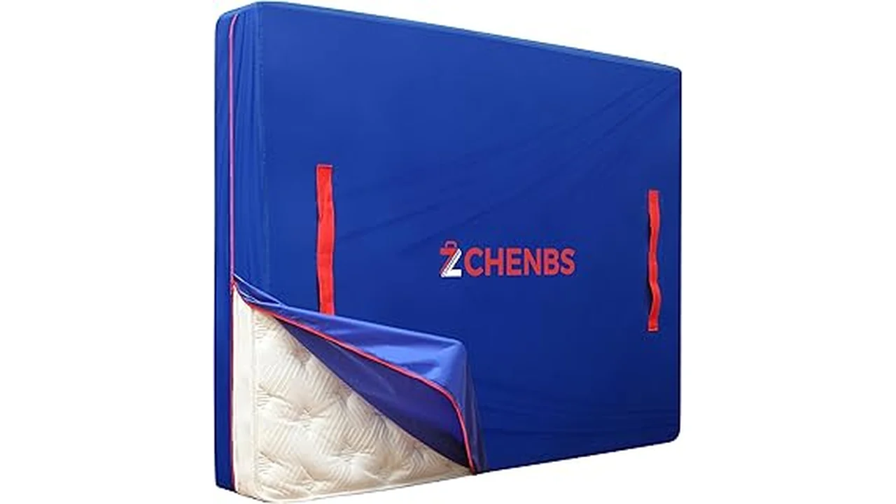 Best 31 Mattress Moving Bag
