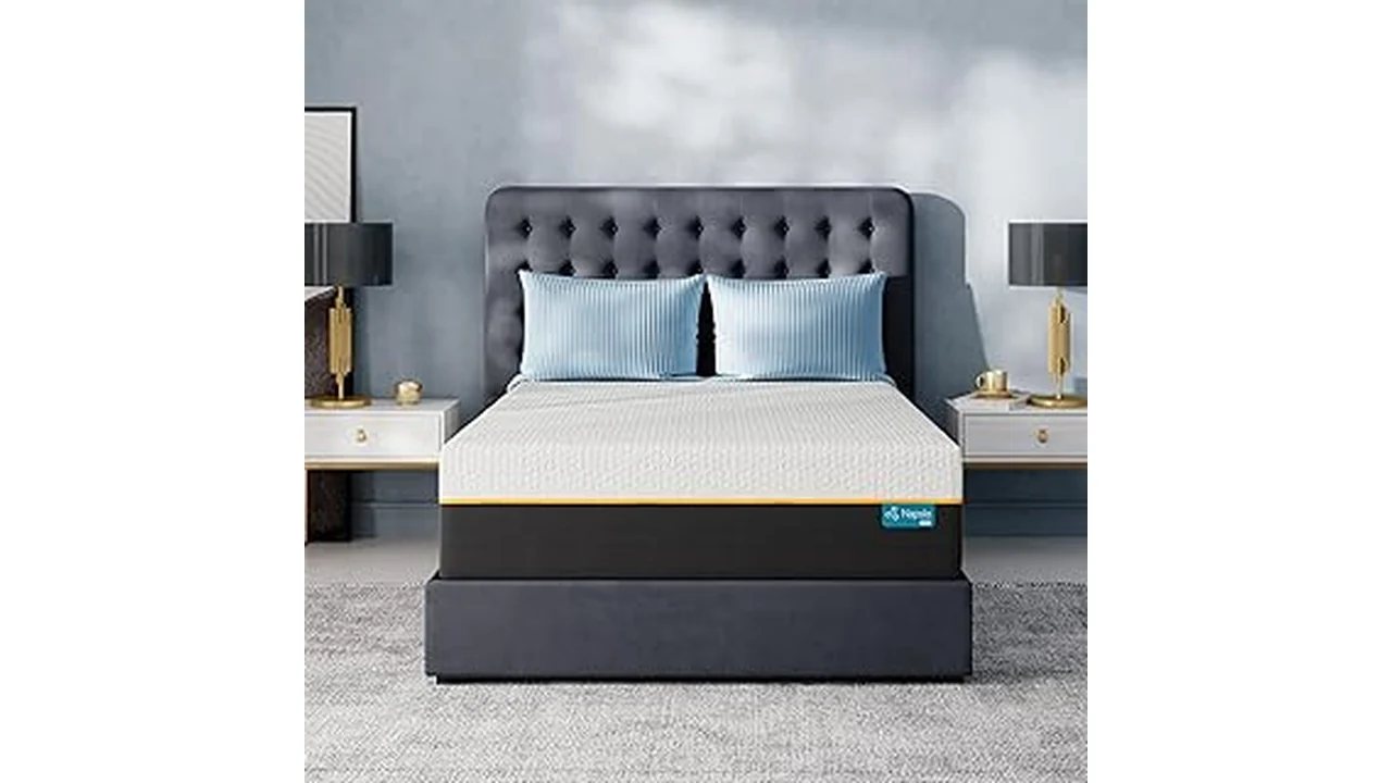 Best 31 Mattress in a Box on a Budget