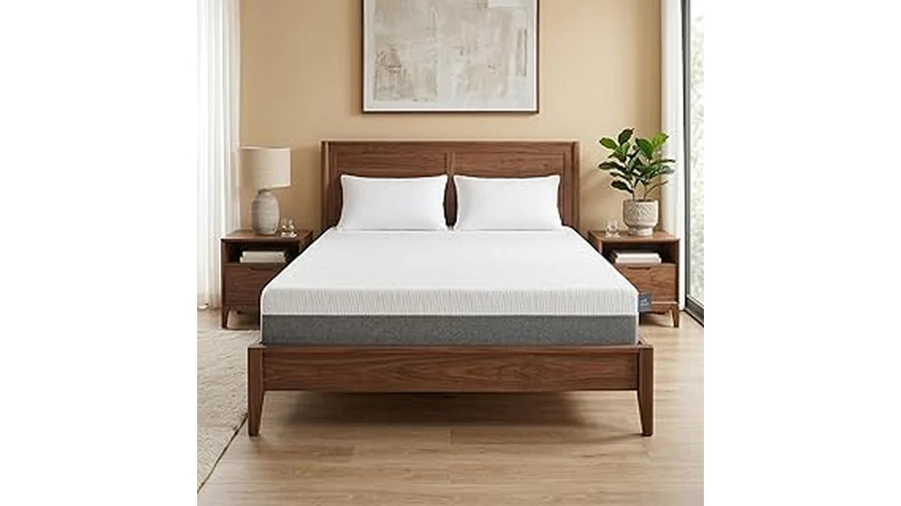 Best 31 Mattress in the World