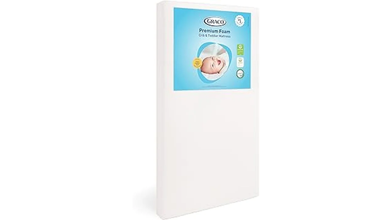 Best 31 Mattress on the Market