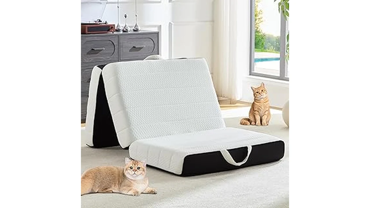 Most Popular 11 Expensive Mattress in Usa