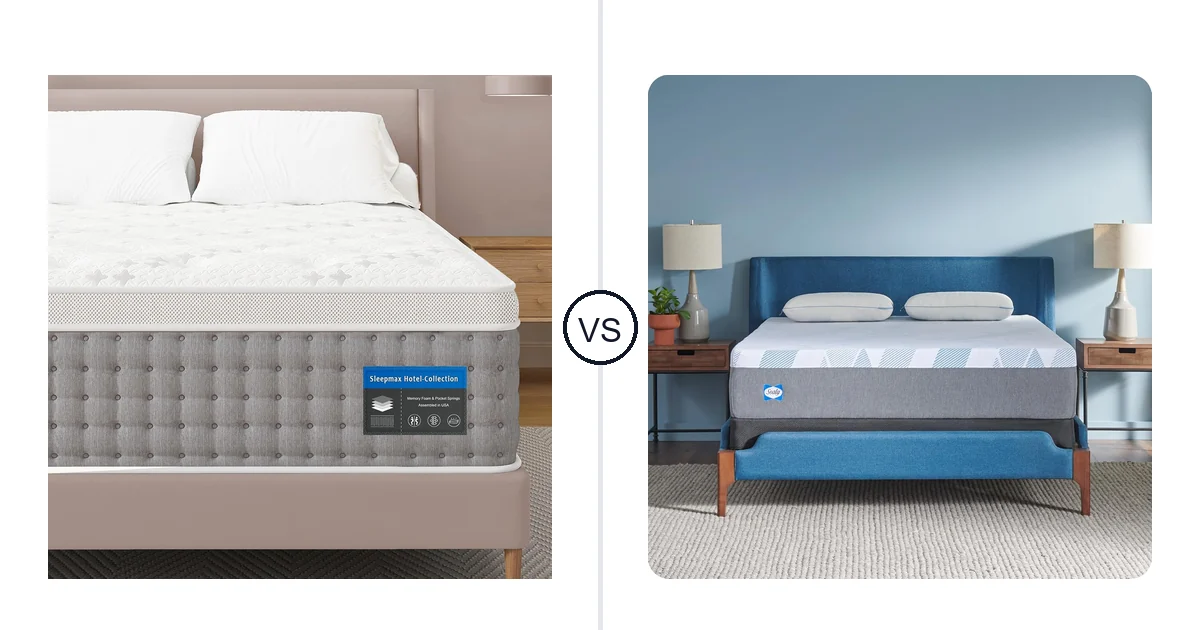 Sleepmax Queen vs Sealy Queen: Which Should You Buy?